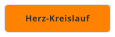Herz-Kreislauf