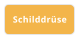 Schilddrüse