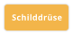 Schilddrüse