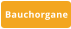 Bauchorgane